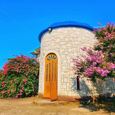 Blue Guest House Samtredia Dış mekan fotoğraf