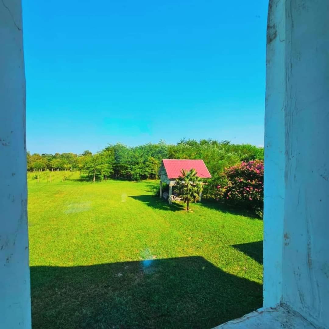 Blue Guest House Samtredia Dış mekan fotoğraf