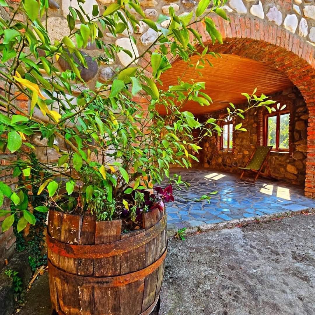 Blue Guest House Samtredia Dış mekan fotoğraf