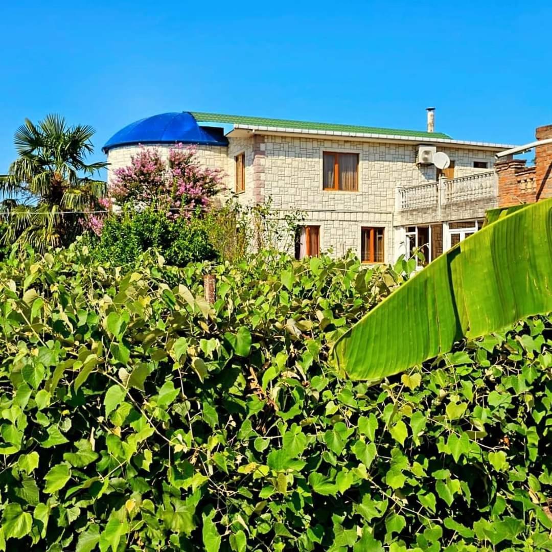Blue Guest House Samtredia Dış mekan fotoğraf